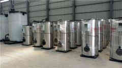  生物燃料蒸汽锅炉银晨锅炉集团 www.lmwol.com