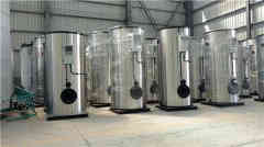  工业用蒸汽锅炉银晨锅炉 www.lmwol.com