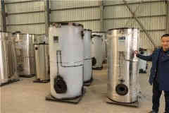 燃气锅炉哪个厂家好