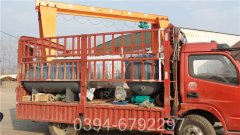 4.2mw低氮导油炉