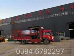 专业生产销售太康锅炉WNS0.5-1.0-Q型燃气锅炉