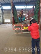 十吨低氮天然气锅炉