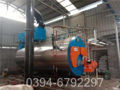 15吨低氮燃气锅炉