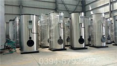 燃生物质导热油炉