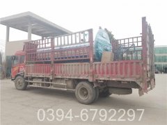 浴池专用燃油锅炉