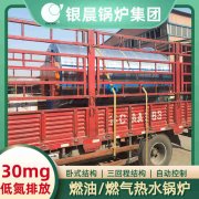 WNS12-1.25-QY冷凝蒸汽锅炉九游网页版·官方端入口