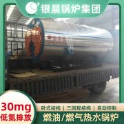 12吨低氮冷凝蒸汽锅炉九游网页版·官方端入口