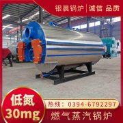 12吨液化气蒸汽锅炉银晨锅炉售后