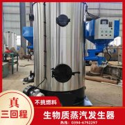 0.3吨低氮冷凝蒸汽锅炉九游网页版·官方端入口