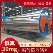 0.3吨低氮蒸汽锅炉九游网页版·官方端入口