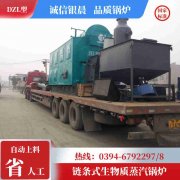 燃煤锅炉型号的