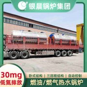 0.7吨低氮冷凝锅炉
