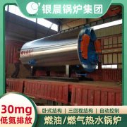 立式燃油导热油炉