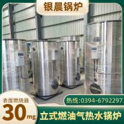 立式浴暖专用锅炉